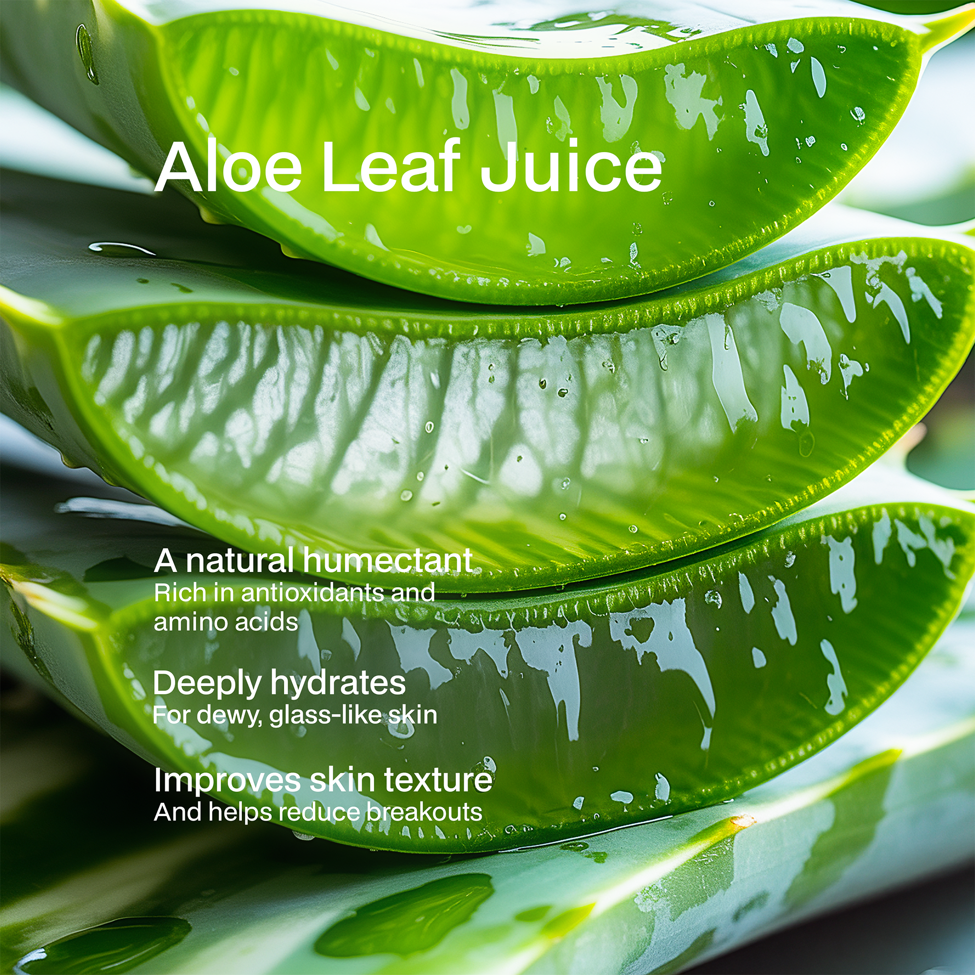 Clean & Hydrate Face