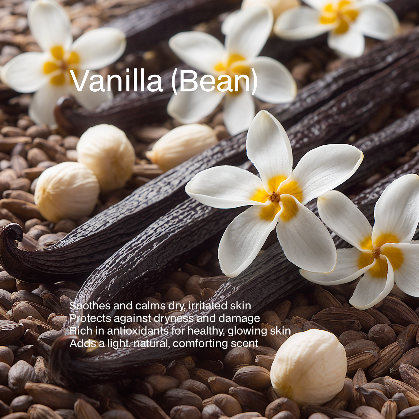 Whipped Grass-Fed Tallow Balm with Vanilla Bean