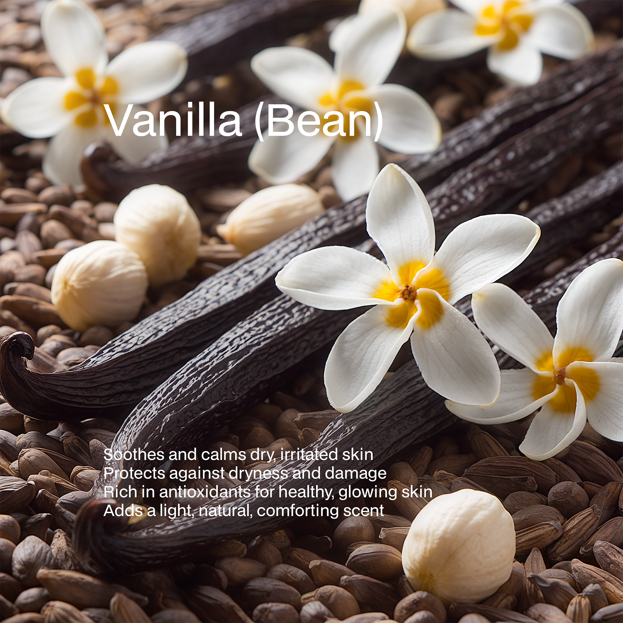 Whipped Grass-Fed Tallow Balm with Vanilla Bean